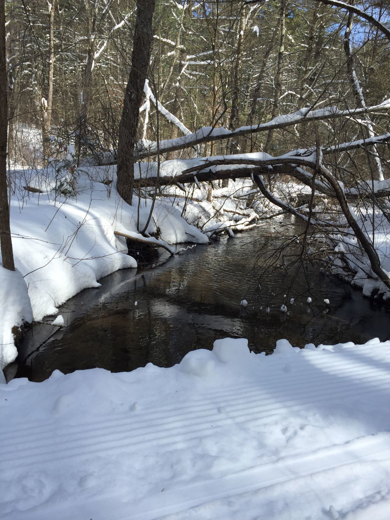 Halfway Brook